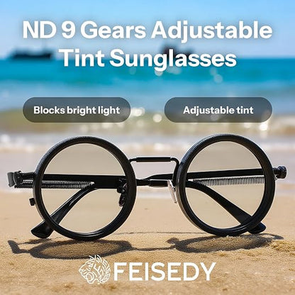 FEISEDY Polarized Round Metal Sunglasses B1400